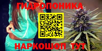 прущие крисы Конаково