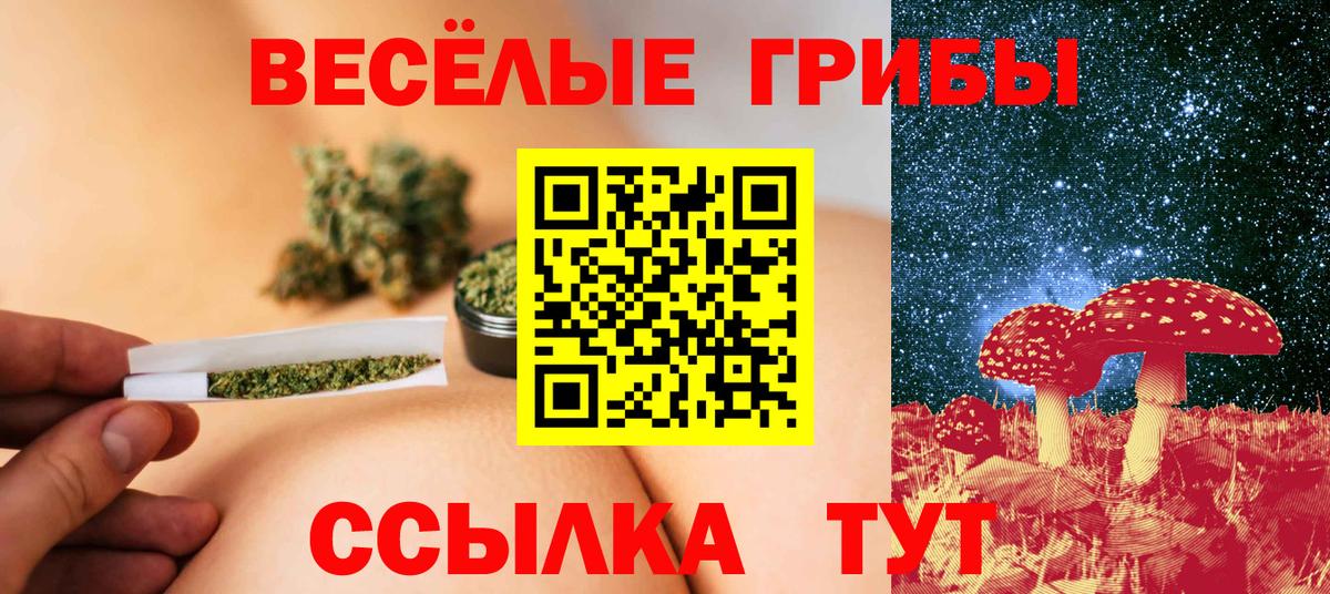 Псилоцибиновые грибы прущие грибы Костомукша